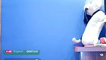 maurirci Ti live premium show
