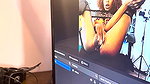 mis seguidores disfrutando de mi orgasmo cremoso en un show en linea