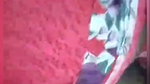 Nilmani siddha_1 Youtuber video