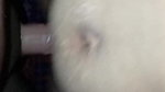 cute bhabhir anal choda