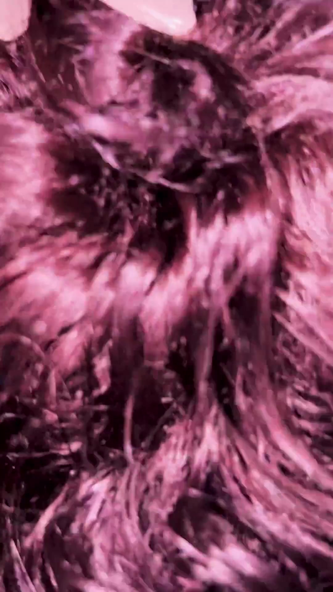 Frame 1
