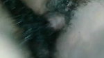 Real Bangla Desi Romantic Couple Full HD Video Beautiful Bangla Couple Romantic Moments HD