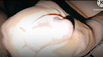 Blow Job Indian Girl XXX