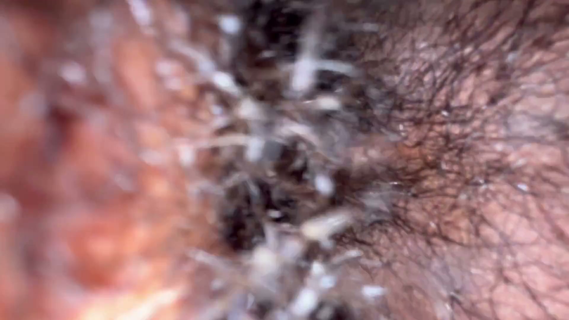 Frame 9
