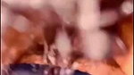 Beautiful Sexy Indian Horny Wife Blowjob And Hard Doggy Fuck