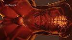 Baldur’s Gate Compilation