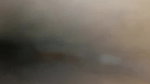 My Indian Girlfriend Sucking My Cock