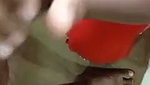 Wife blowjob