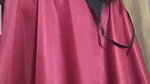 Love Desi birds paid call service