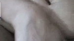 Love Desi birds paid call service