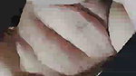 Pakhi paid call service