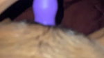 BEAUTIFUL SEXY DESI GF STRIPPING SHOWING NUDE ENJOYING FUCKING ~FULL UPDATES 32 CLIPS 2 11