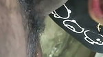 BigAss Horny Indian Gf Showing Teasing Blowjob And Hard Doggy Fuck 2 6