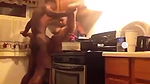 random african black fucking video-259