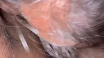 Sexy Indian Horny Gf Blowjob And Doggy Fuck 2 1