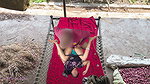 The Owner’s Wife Was Openly Feeding on the Cot in the Soft Buffalo Stable 2