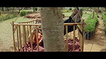 Unk Actresses Hot Thighs,Pits,Boobs Seduction Song-Upendra 1999 1