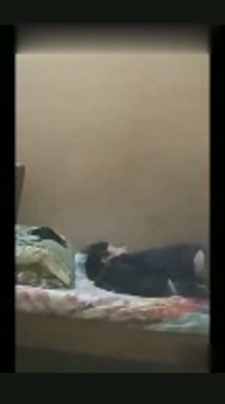 Frame 7