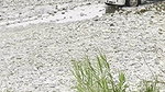 Colombian Girl Masturbates in Public on the Street