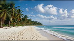 HOT BEACH VOYEUR WITH ADAMANDEVE AND LUPO