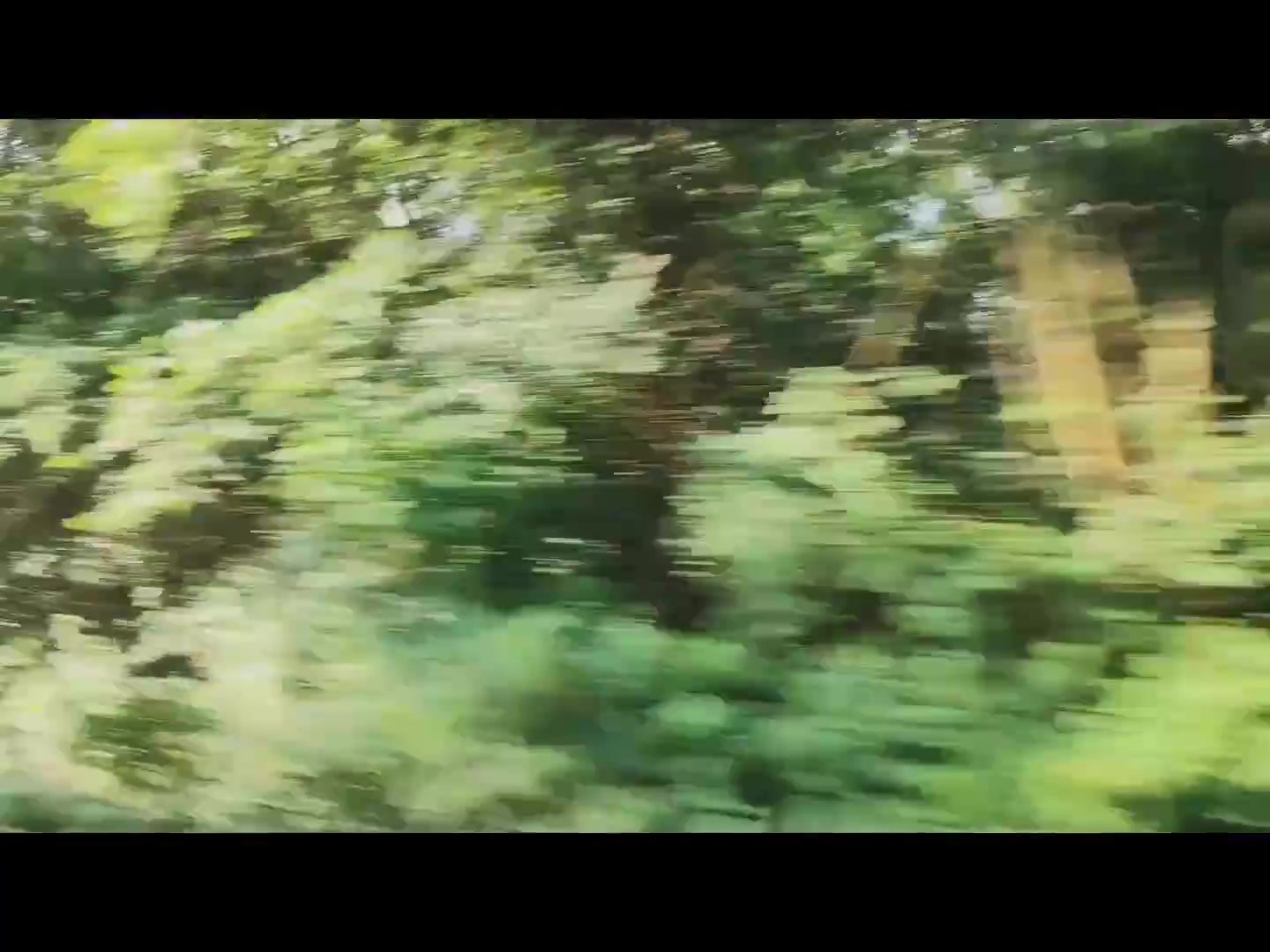 Frame 1