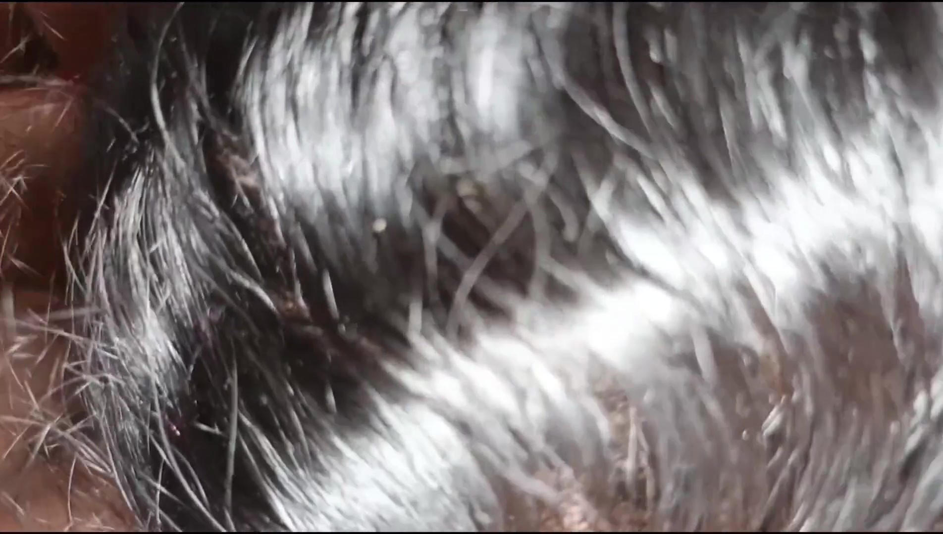 Frame 4