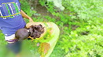 Inocent Cute Village girl Sex in jungle, newly virgin girl first time fucking in forest xxx free videos