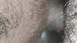 Wait ko tar me choda diya videos