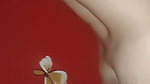 Beautiful BigAss Sexy Indian Horny Punjabi Milf Showing Bathing Humping On Pillow Nud 17