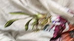 Beautiful Sexy Paki Wife Teacher Student Roleplay 1