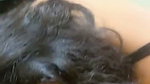 Chubby Indian Tanker Wife Blowjob Teasing Showing Asshole 5