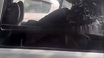 Sharda University Student Giving Blowjob to Professor in Car & Wiping Cum with Tissue 1