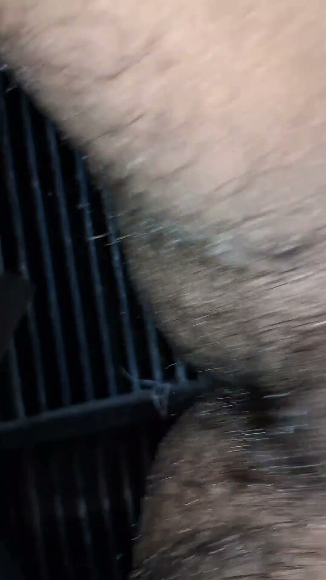Frame 8