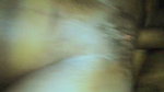 Bhabhi Gets a Little Hardcore Fucked, Fooled and Anal.