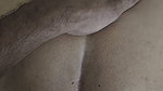 Anal Butt Plug and Fucking