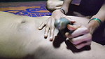 An Asian Teen Girl Was Fucked with Her Local Boy Friend Very Hard