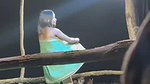 Telugu Recording nude Dance Group 37