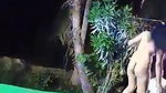Telugu Recording nude Dance Group 38