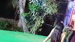 Telugu Recording nude Dance Group 38