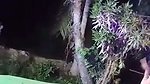 Telugu Recording nude Dance Group 38
