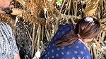 Cute Ariana Face South Outdoor CumOnAss 14Min DirtyTalk HardCore