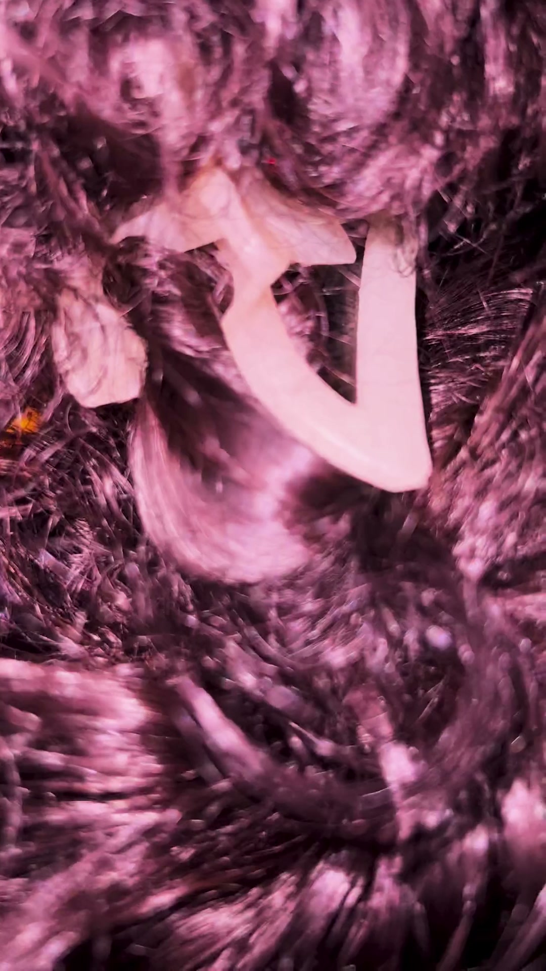 Frame 1