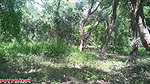 Indian Village Viral Bhabhi Milk Show Jungle Clear Hindi Audio, Indian Viral Bhabhi Fuck Outdoor Jungle Sex