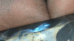 Today My Boy Licking My Wet Pussy Please Watch and Enjoy