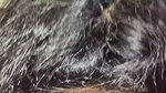 Telugu aunty sex and cleaning hair