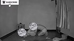 Sex with ex girlfriend with condom enjoy full video