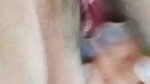 iamr Chamet video