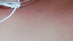 kathi honey Chamet video