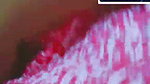 pari Chamet video