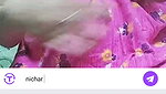 pinky is alone Chamet video